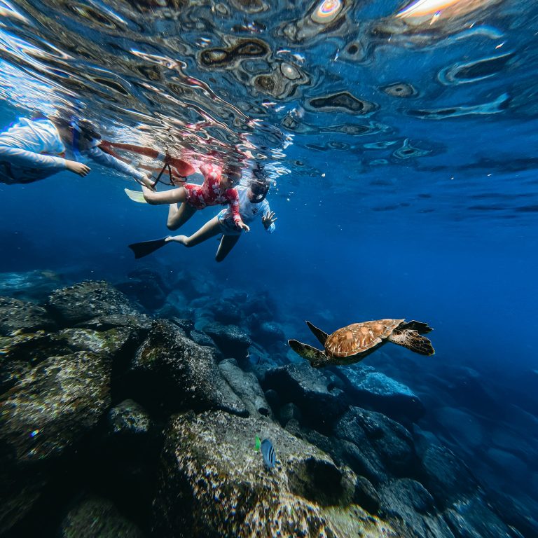 Redescubrir Galápagos