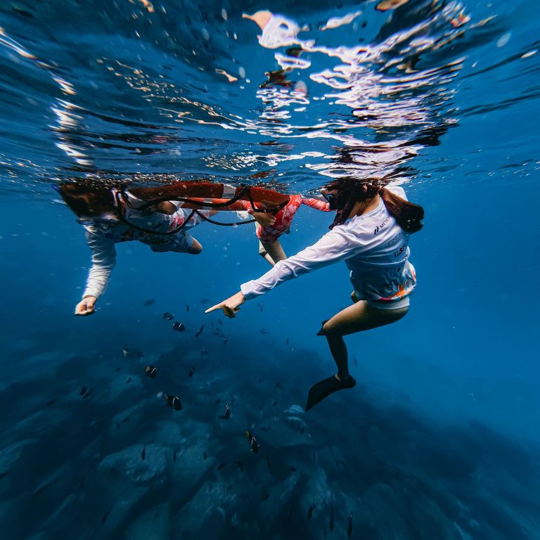 Redescubrir Galápagos