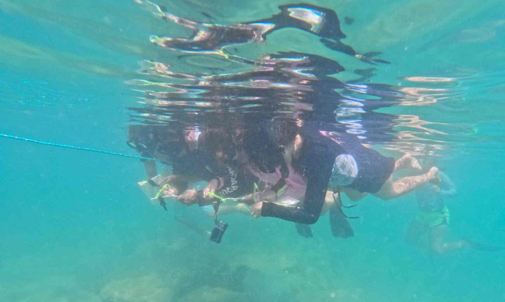 Redescubrir Galápagos