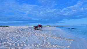 Rediscovering Galápagos
